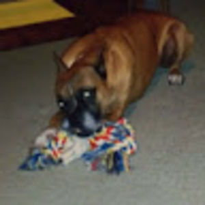 Meet your Posher, Baker